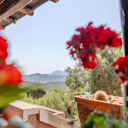 Apartment Charming Open Space In Costa Smeralda Olbia